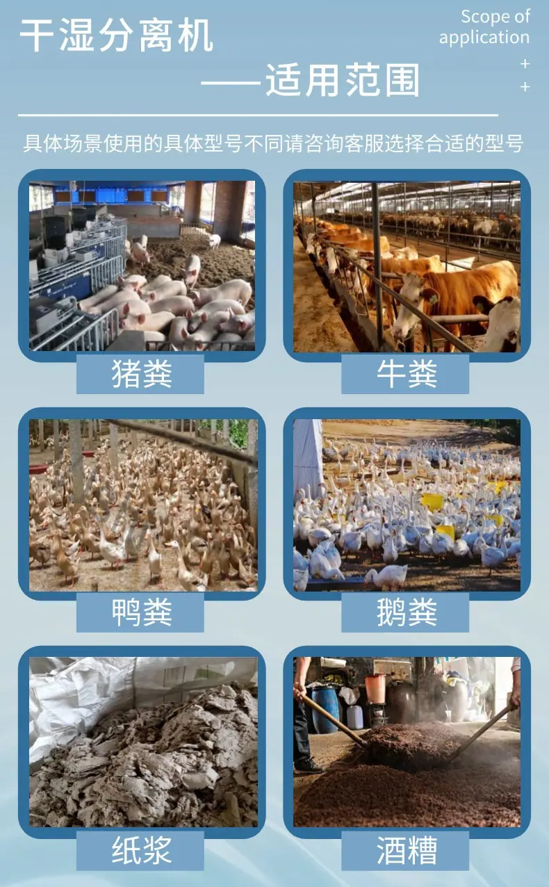 250303191199 上传 (3)