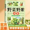 Guía Ilustrada para Identificar Verduras y Bayas y Sus Usos Medicinales: Un Libro sobre los Tipos y Beneficios de las Verduras y Bayas Silvestres para la Recolección al Aire Libre
