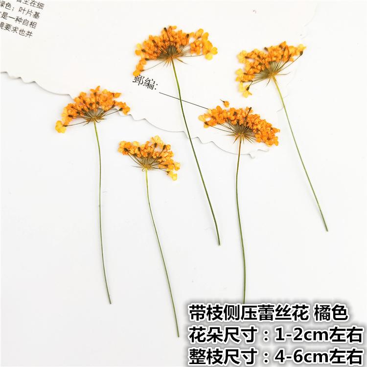 IMG20190221145030