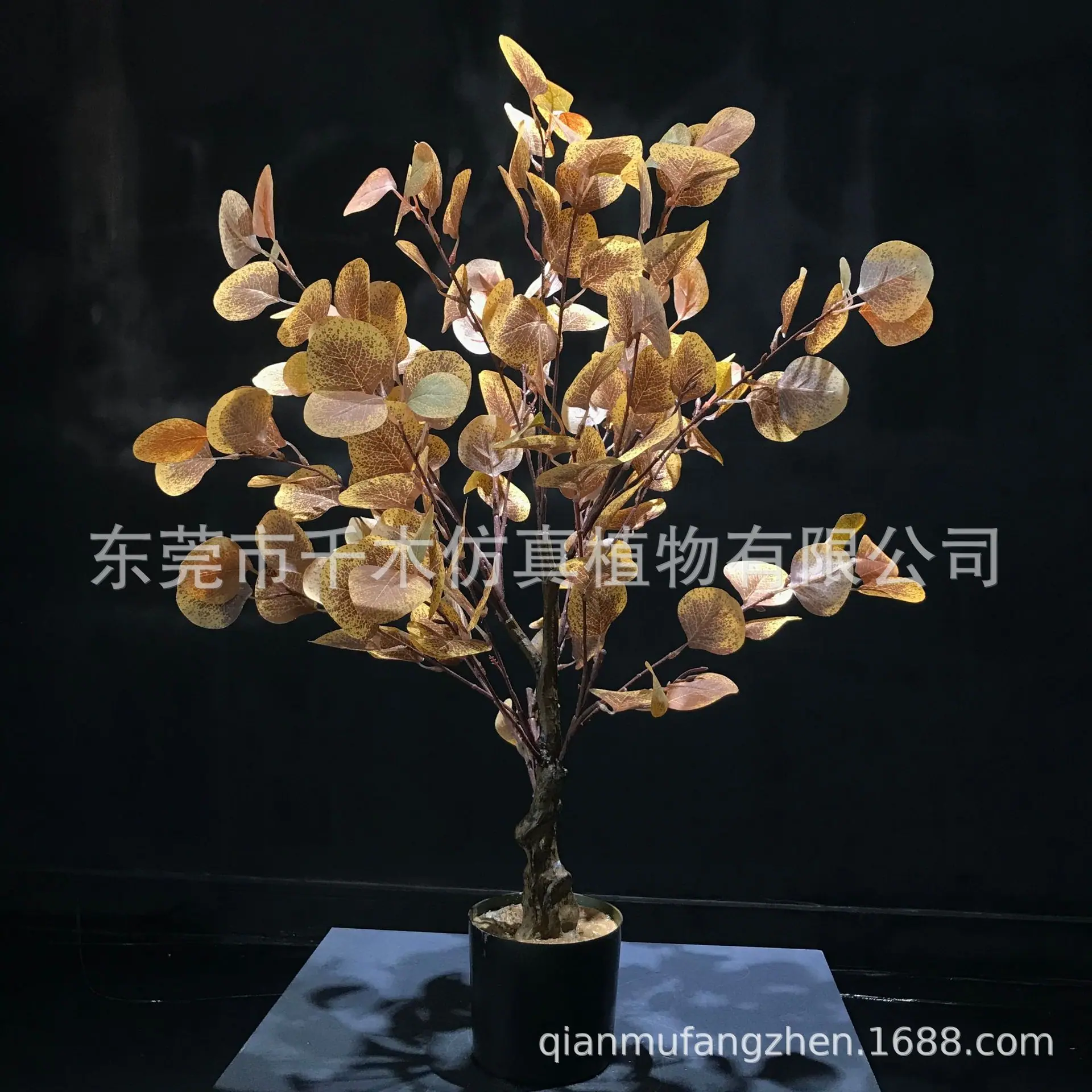 微信图片_2021121114342317