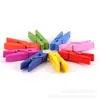 Pinzas de Madera de Colores para Ropa Pinzas Pequeñas de Madera Pinzas para Ramo Pinzas para Ropa Decoración DIY Clips para Colgar Fotos en Pared Clips para Notas