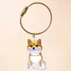 Caja Transparente para Guardar Pelo de Perro Llavero Colgante Cápsula de Pelo de Animal Suministros para Mascotas Accesorios para Perros Venta al por Mayor