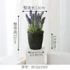 Cuenca de cerámica para maceta de simulación de fábrica simulación de bonsái decoración del hogar simulación Verde al por mayor una generación de cabello