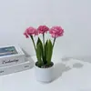 Suministrado Directamente del Fabricante, Piedra Flor de Lluvia Tres Bolas Pequeñas Crisantemo Bonsái Artificial Decoración de Escritorio de Oficina Flor Artificial de Plástico Planta Pequeña en Maceta