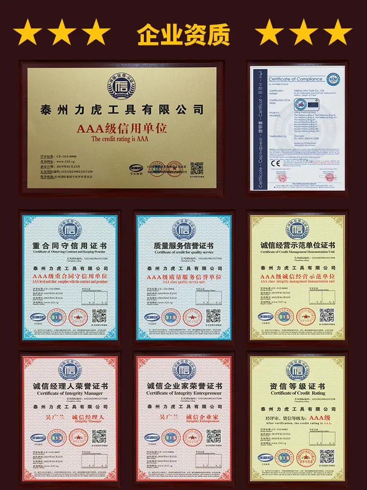 荣誉证书3 吊装带.jpg