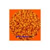 Masterbatch Amarillo de Alta Consistencia para Película Soplada 88637 Resistente a la Temperatura y al Clima Masterbatch Amarillo de Alta Consistencia para Película Soplada 88637