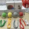 Juguete inteligente para gatos, juguete interactivo eléctrico para gatos, juguete automático para gatos, juguete para mascotas, palo para provocar gatos, juguete para perros