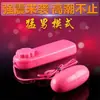 Accesorios Íntimos Sexy Private Moon, Diadema, Parche para Pezones, Vibrador, Juguete de Cama Sm Bondage, Body Drop Shipping, Colección Súper Completa