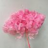 Flores Preservadas de Yunnan, Hortênsia de Folha Grande Única para Decoração de Cena de Casamento, Disponível em Múltiplas Cores, 27 Cores para o Dia dos Namorados