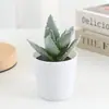 Simulação Vaso Flocagem de Polpa Suculenta Vaso Decoração de Casa Mesa Flor Decorativa Enfeites de Escritório Plantas de Polpa Transfronteiriças