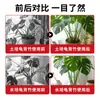 Soporte para Monstera marco de soporte para flores marco de recolección de ramas soporte anti-inclinación para plantas artefacto fijo para plantas marco para flores