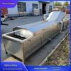 Máquina de branqueamento de vegetais de aquecimento a vapor máquina de branqueamento de folhas de amoreira grande fabricante de máquina de branqueamento