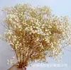Flores secas de gypsophila preservada más vendidas, ramo grande multicolor, flores frescas para decoración del hogar, venta al por mayor de flores para manualidades DIY