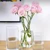 Vaso Quadrado de Vidro Borossilicato Alto Recipiente Hidropônico Micro Paisagem Garrafa Ecológica Suporte de Vela Decoração de Flores Secas para Casa Ornamento