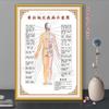 Centro de Saúde de Medicina Chinesa Fisioterapia da Coluna Vertebral Gráfico de Parede Fluxo dos Meridianos Desobstrução dos Meridianos Pintura Decorativa Cartaz de Campanha