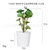 Planta Pequeña en Maceta de Toque Real Hierba de Cobre Dinero Individual Plástico Simulado Esmerilado Mini Bonsái Adornos de Escritorio Plantas Verdes Similadas