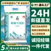 Direto de XinjiangChuangxing Qitai Farinha 2,5kg Farinha Floco Venda Direta do Fabricante Farinha de Trigo com Alto Teor de Glúten para Uso Doméstico