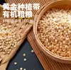 Arroz de Sorgo Orgânico Pegajoso 500g, Moído na Hora, Arroz Glutinoso Polido, Ingredientes para Fazer Bolos de Arroz e Fermentar, Grãos Integrais, Mingau de Arroz