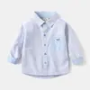 Camisas infantiles al por mayor, camisas Oxford de manga larga para niños, nuevos artículos de otoño 2026, camisas de bebé de moda, envío directo de una pieza