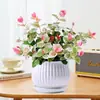 Planta Trepadeira com Flores e Folhagens Coloridas para Todas as Estações, Planta em Vaso com Folhagem Colorida, Planta para Cesto Suspenso, Planta Trepadeira para Varanda, Planta Verde, Planta de Jardim, Planta Suspensa