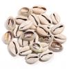 Pingente de moeda de concha natural irregular, pingente de concha de moeda, estrela-do-mar criativa, concha, acessórios de joias para pulseira DIY