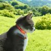 Nova coleira para gatos, colar de tecido para gatinhos, sino, anti-sufocamento, fivela de segurança confortável, suprimentos para decoração de animais de estimação