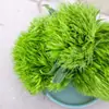 Decoração de Apresentação Flor Sashimi Estilismo Planta Fresca Restaurante Frutos do Mar Empratamento Prato Frio Shou