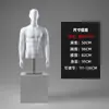 Maniquí Modelo de Medio Cuerpo con Soporte para Tienda de Ropa, Maniquí Deportivo de Cuerpo Completo para Tienda de Ropa para Hombres, Soporte de Exhibición para Lencería