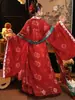 Hanfu para mujer, traje antiguo estilo restauración Tang, falda rota de mapache en el pecho, estilo nacional, camisa de manga ancha, bordado, estilo otoño