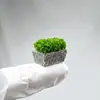 Modelo de Escena Pizarra Pasos de Piedra Camino Mini Piedra para Pisos Edificio Mesa de Arena Camino Pizarra Miniatura Modelo Otros