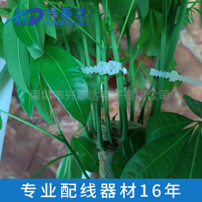 鱼骨扎带000