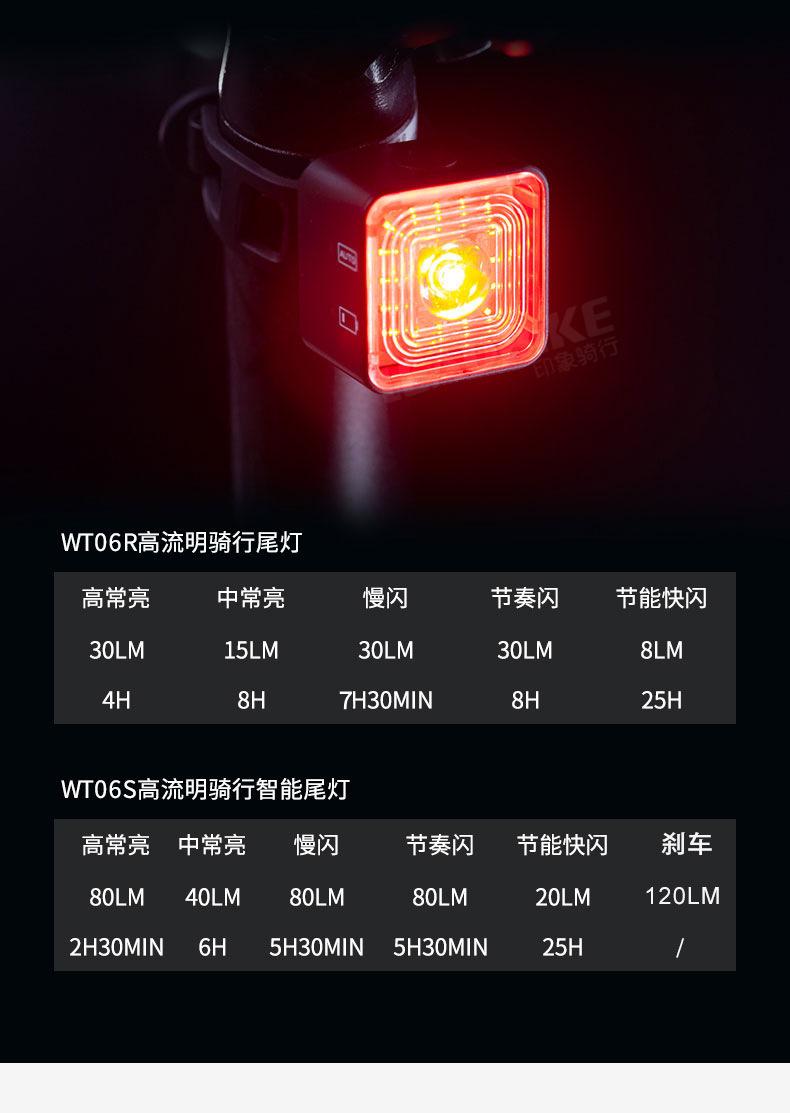 WT06-790 (12)改.jpg