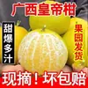 Laranja ponkan jin fruta fresca ponkan jin cítrico casca fina atacado laranja tangerina