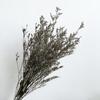 Venta al por mayor de Flores Eternas, Hierba Eterna, Flores Secas, Diseño Floral para Bodas, Regalos Empresariales