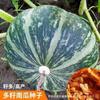 Las Semillas de Calabaza Multisemilla Son de Alto Rendimiento y Fáciles de Cultivar. Nuevas Variedades de Calabazas Producidas Especialmente para Siembra de Primavera y Otoño Son Semillas de Melón Blanco
