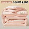 Colcha de Fibra de Soja com Fio Duplo Super Macio Classe A Colcha de Inverno Colcha Quente Espessada Roupa de Cama para Dormitório de Estudante Núcleo de Colcha para Primavera e Outono