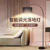 Lámpara de pie de pesca de piano minimalista nórdica para proteger los ojos, lámpara de pie creativa para sala de estar, estudio, dormitorio, mesita de noche y propósitos de enfermería