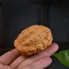 Taihang Yabai Loto Fujia Mundo Pieza de Mango Madera Maciza Tallado Integrado Caparazón de Tortuga Sostener en la Mano Pieza de Mango Fugui
