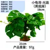 Plantas Artificiales para Paisajismo de Reptiles, para Reptiles, Tortugas, Lagartijas, Ranas Cornudas, Terrarios, Plantas Verdes, Tanque de Selva Tropical, Decoraciones de Hojas