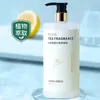 Camellia Grasa Donglai Champú Fragancia Duradera Anticaspa Antipicazón Gel de Ducha Champú y Acondicionador Crema de Champú