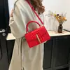 Bolsos Color Sólido Simple Bolso Cuadrado Pequeño con Relieve para Mujer Otoño 2024 Bolso Cuadrado Pequeño de Mano Cruzado con Patrón de Cocodrilo de Gama Alta