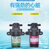 Bomba de diafragma para pulverizador eléctrico agrícola, bomba de agua, bomba de retorno, 12 V, bomba de agua a presión, el fabricante vende bomba de 4 pines Rain Dew
