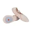Venda direta da fábrica sapatos de dança personalizados produção anual de 2 milhões de pares de sapatilhas de balé sapatos de garra de gato sapatos de prática sapatos de dança de sola macia