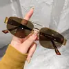 Gafas de Sol Metálicas Personalizadas para Mujer, Gafas de Sol de Doble Puente Retro Francesas de Alta Gama, Tendencia 2026 Protección UV