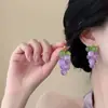 Las Uvas Están Maduras~ Pendientes de Cuentas de Uva Dopamina de Verano para Mujer, Pendientes de Gama Alta Nicho Estilo Ins
