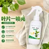Fertilizante Concentrado Hidrosoluble Específico para Plantas para Brillo de Hojas, Spray Foliar para Brillo Rápido, Engrosamiento Verde Intenso y Prevención del Amarillamiento