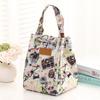 Bolsa de Almuerzo Portátil para el Trabajo, Bolsa de Almuerzo para Estudiante, Personalización de Bolsa Aislante