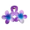 El Clip para el Cabello Doble de Frangipani Más Vendido de Amazon Clip para el Cabello con Flor de Gradiente de Caramelo Clip de Tiburón Femenino Accesorios para el Cabello Tocado