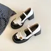 Versão em couro macio~Sapatos femininos versáteis em couro estilo francês para combinar com saias, novidade de verão 2026, sapatos Mary Jane com salto grosso e bico redondo vintage