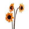 Arte de Crisantemo Holandés Hecho a Mano Materiales de Flores Secas, Plantas, Flores Artificiales Eternas, Artículos Decorativos, Accesorios para Fotos, Flores al por Mayor